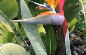 Finca Casa Madera 1 - Foto 60