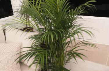 Villa Bellavista - Foto 56