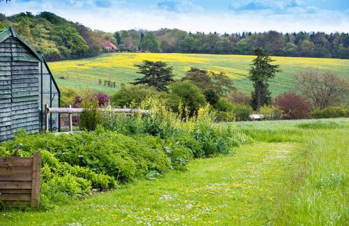 Luxury Shepherd's Hut - The Hyde - Photo 24
