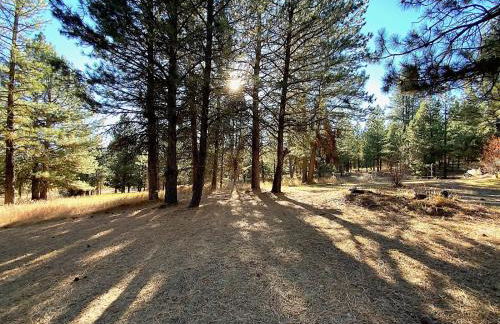 Ponderosa - Peaceful, private cabin on 5 acres by Lake Cascade - Foto 33