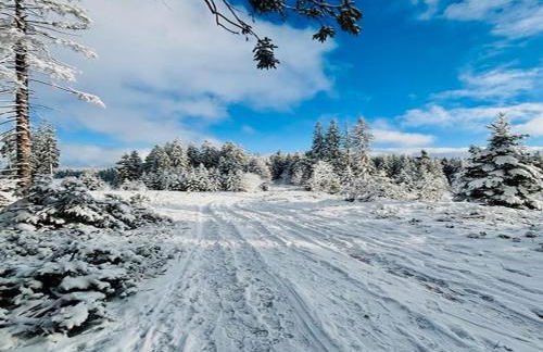 Schwarzwald Nescht Triberg - Foto 23