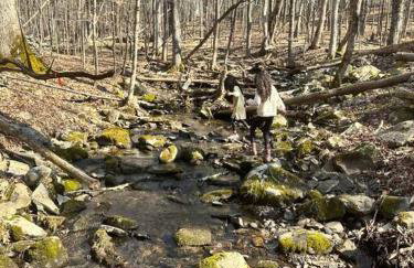 Relaxing Hudson Valley Getaway- 4BR Sauna 15 acres - Foto 26