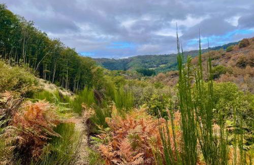 Ostalon de Sénégats - Foto 48