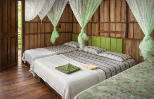 Pousada de selva Janauatour - Foto 1