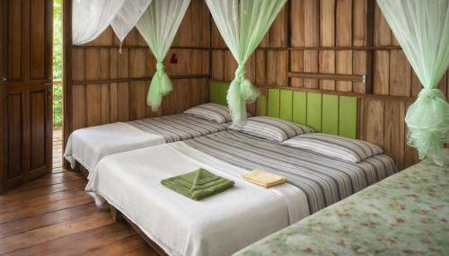 Pousada de selva Janauatour - Foto 1