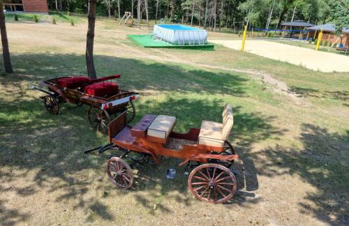 Domki Wrzosowe Wzgórza Nr2 - Foto 58