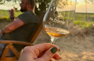 Apartamenty i Winnica - Siedlisko Na Polanie - Foto 47