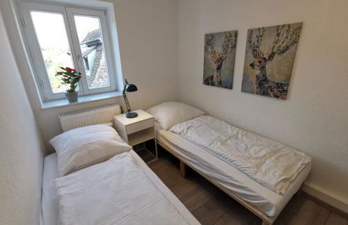 Ferienwohnungen Flussufer - Neckargemünd Altstadt - Foto 37