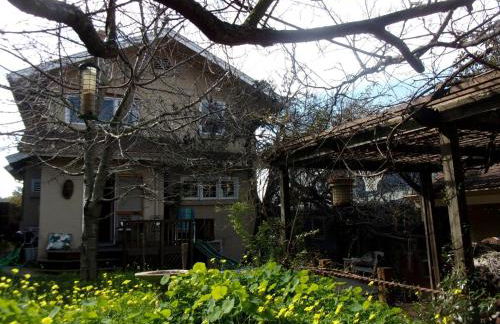 Summer-house OASIS on quiet street in ROCKRIDGE - Photo 29