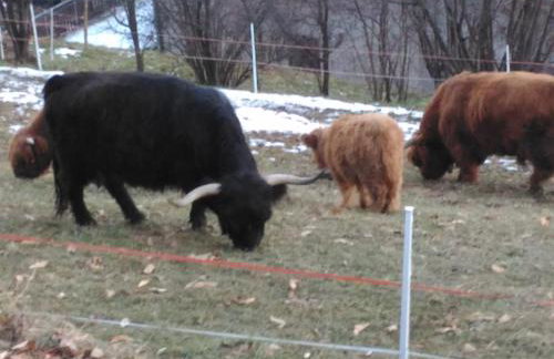 Baita Figliezzi - Foto 51