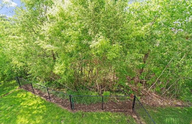 Just Ducky - Foto 24