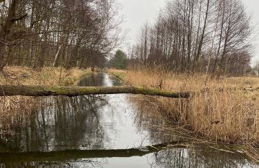 Komfortowy Domek Natura, w pobliżu Nadmorskiego Parku Krajobrazowego, 800 m od plaży - Foto 15