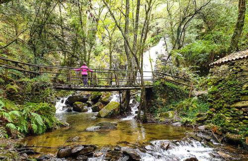 Cedrim Hillside - Foto 61