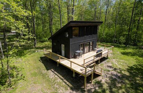 Private Cabin with Guesthouse Hot Tub Fire Pits - Foto 17