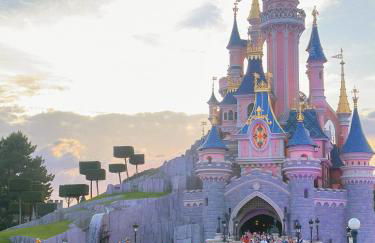 The Green Terrace Disneyland - Foto 46