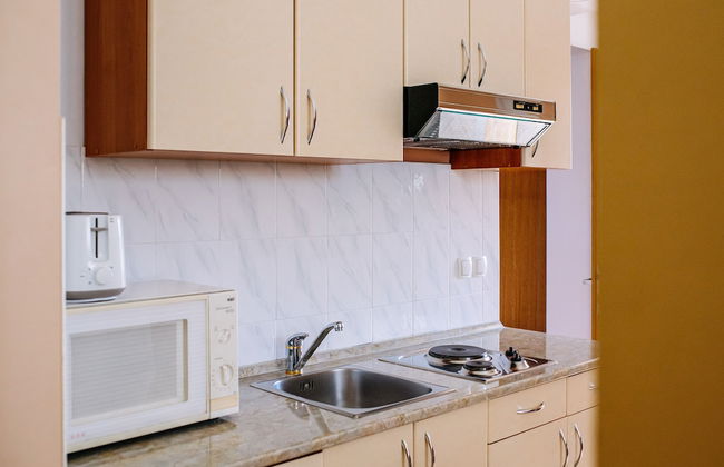 Vila Curic - Foto 42