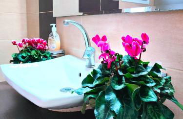 Zika's House - Foto 35