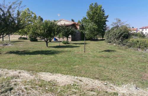 La casa de la parcela - Photo 40