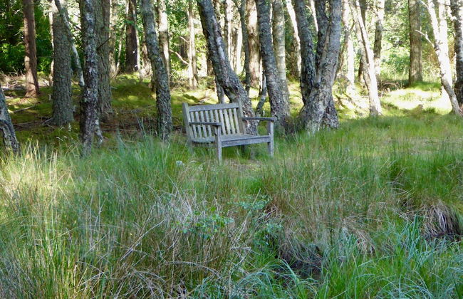 Blervie House - Foto 42