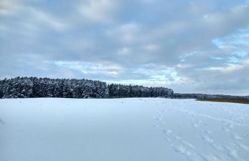 Stajnia Lisewo - Foto 25