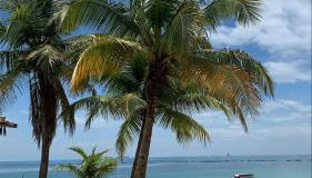 Casa de praia em Barra do Gil - Foto 3