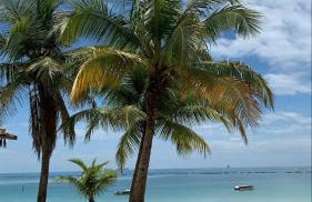 Casa de praia em Barra do Gil - Foto 3