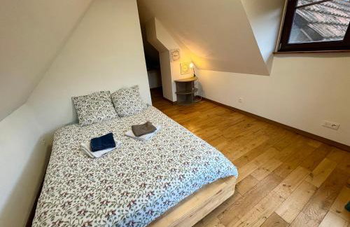 Au cœur du vignoble Alsacien - Foto 8