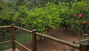 Cantinho do Ipê Alto Caparaó MG - Foto 3