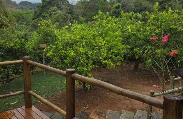 Cantinho do Ipê Alto Caparaó MG - Foto 3