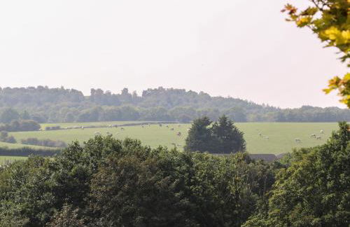 Copper Coin - Foto 40