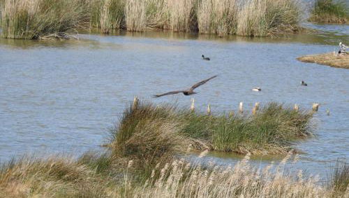 VILLA ISLAS Urdaibai - Foto 3