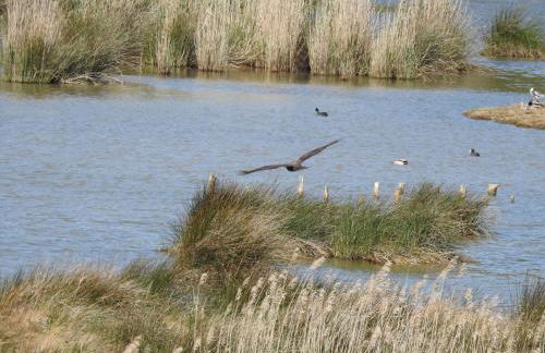 VILLA ISLAS Urdaibai - Foto 3