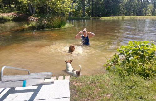 Snug & Secluded Lakeside Shepherds Hut 'Carp' - Foto 47