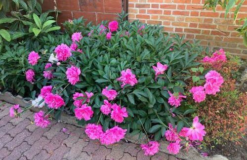 "Le 35" Maison rénovée avec jardin proche centre - Foto 29