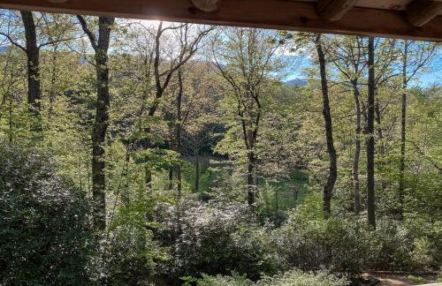 Dancing Bear Cabin - Foto 37