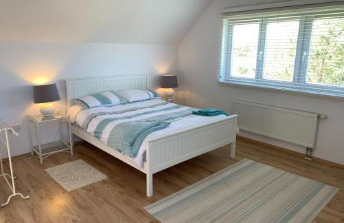 Pen Braint - Foto 11