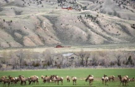 Wapiti Valley Magic, East Yellowstone - Foto 5