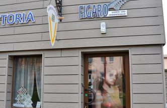 Pension Victoria Halberstadt - Foto 55