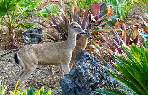 Private Luxury Suite with Views Near SF & Wine Country - Foto 39