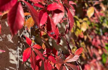 Eulenwohnung Apartment - Foto 26