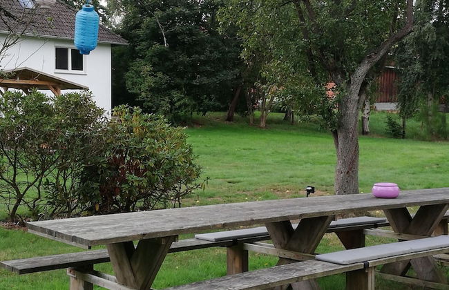 Buntes Moor - Foto 24