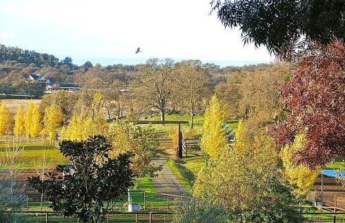 Quiet Cottage Rental for Two in Horse Country near Yosemite National Park Gateway, California - Foto 6