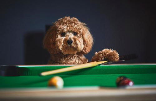 Haworth Home - Hot tub Cinema Games Room Sleeps 12 - Foto 13