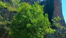 Appartamento al Borgo - Foto 2