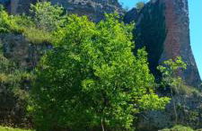 Appartamento al Borgo - Foto 2