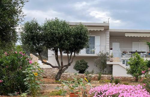 Villa Maxima Lavrio - Foto 3