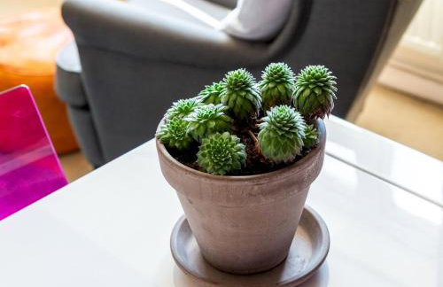 Cozy 4-Bed with Garden in Trendy Stoke Newington - Pass the Keys - Foto 20