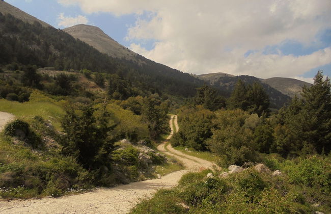 Ataviros Hotel - Foto 58