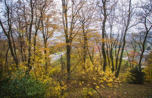 Old Chestnut Vacation Home - Foto 58