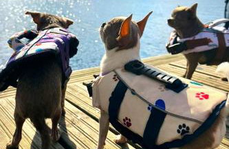 Pasterzewo 19 - Domki na Mazurach - Foto 69